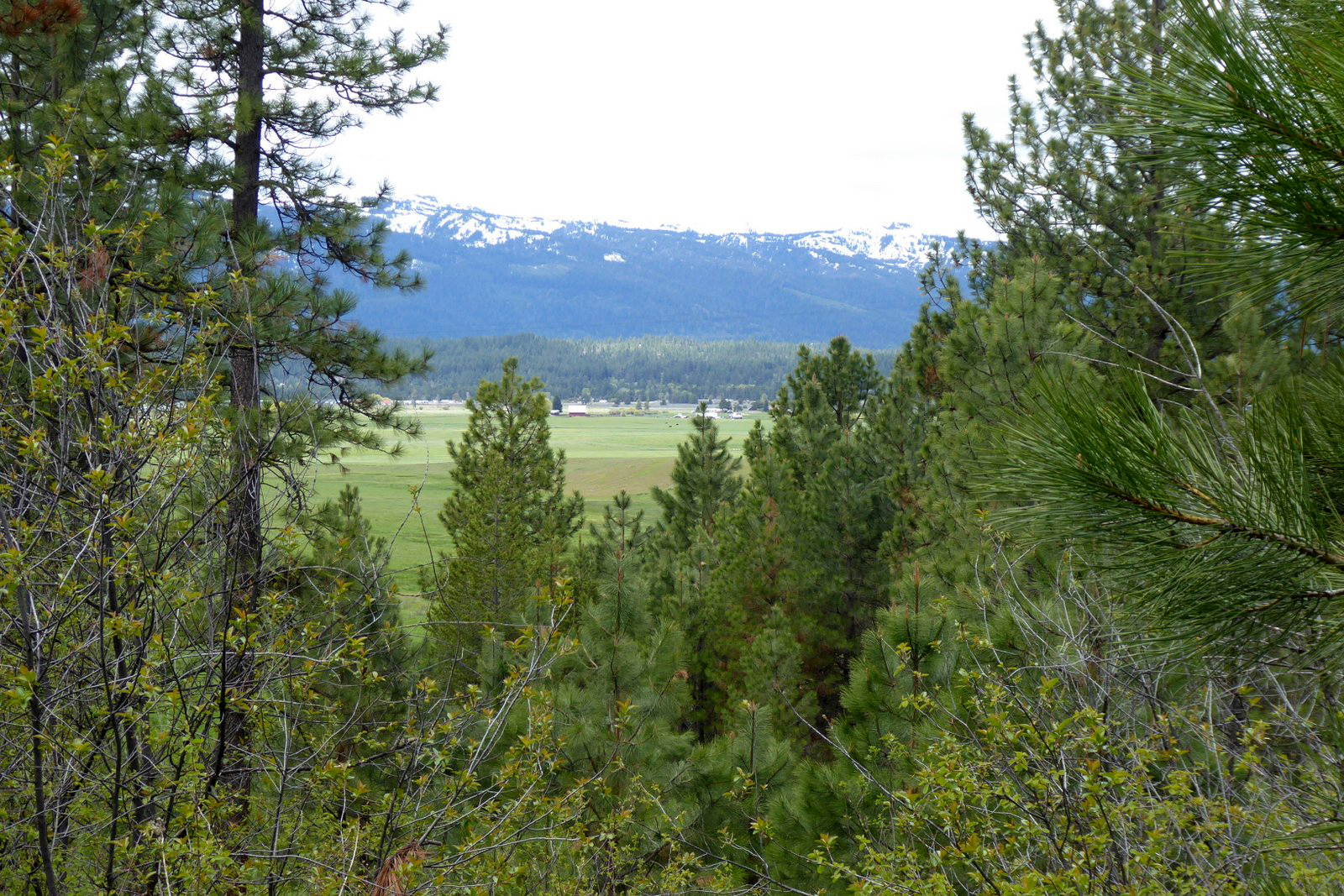 Cascade Lake Realty Whispering Pines